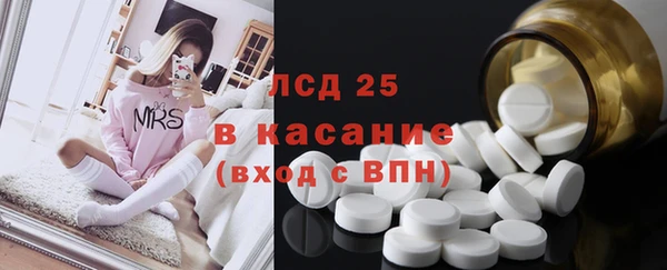 прущие грибы Заполярный
