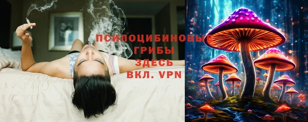 альфа пвп Семикаракорск